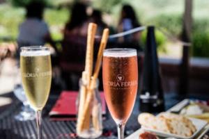 法甲杯赛联赛安排引发热议，球迷与球队对赛程不满法甲杯赛联赛安排不满