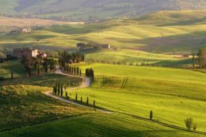 法甲联赛直播回放，技术与制作全解析法甲联赛如何回放直播